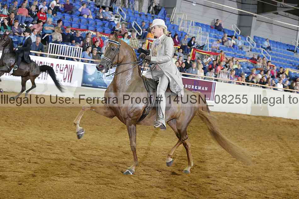 Proof 14usn_08255