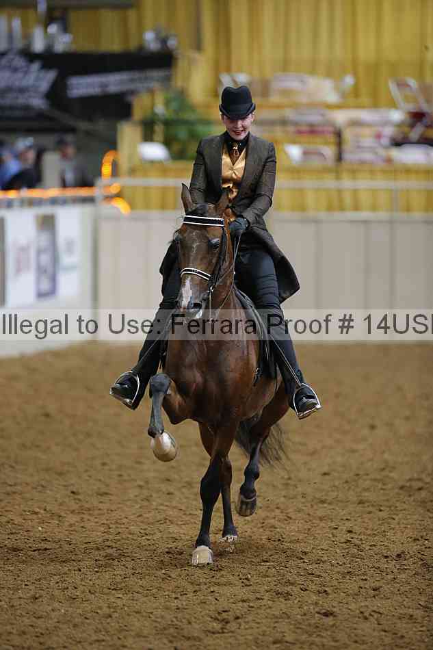 Proof 14usn_08259