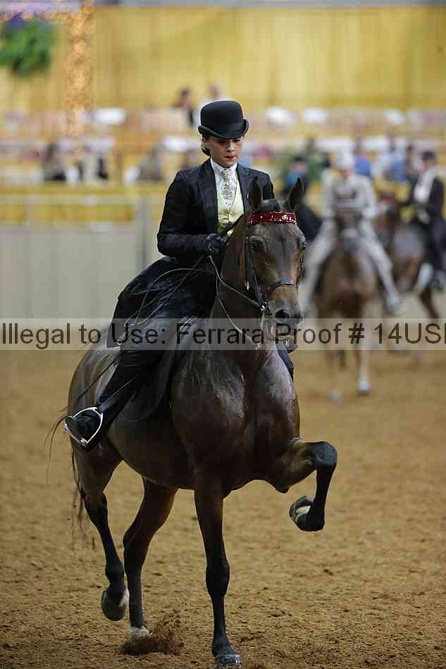 Proof 14usn_08270