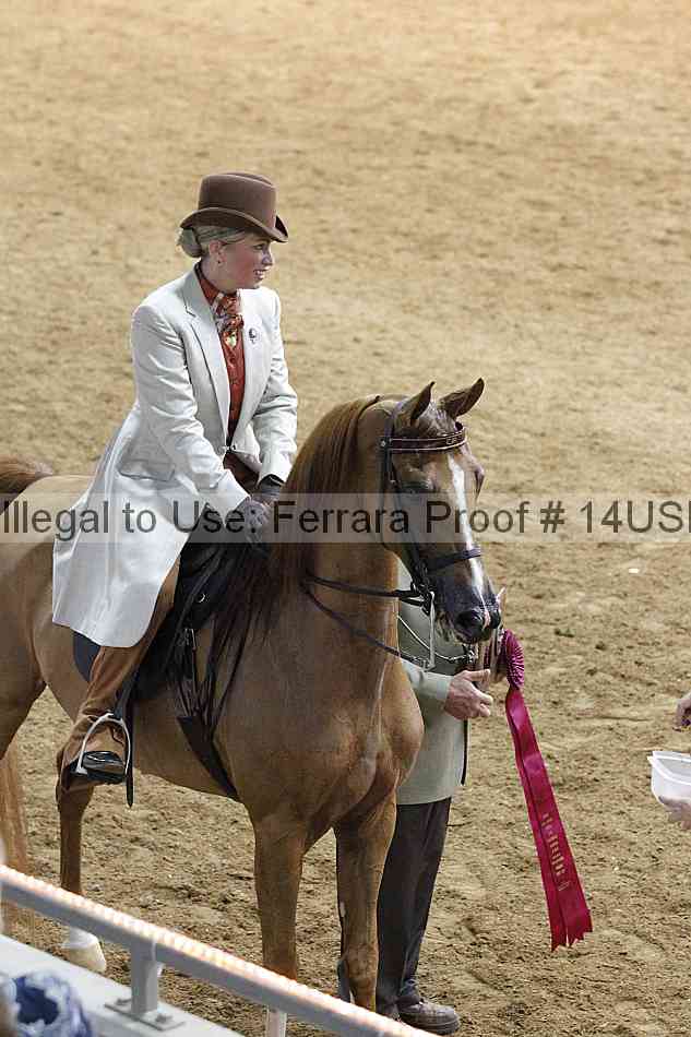 Proof 14usn_08276