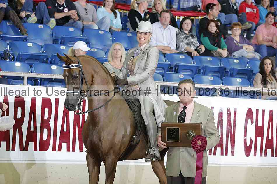 Proof 14usn_08286