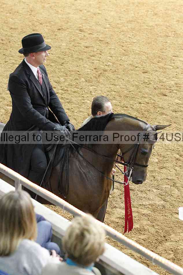 Proof 14usn_08295