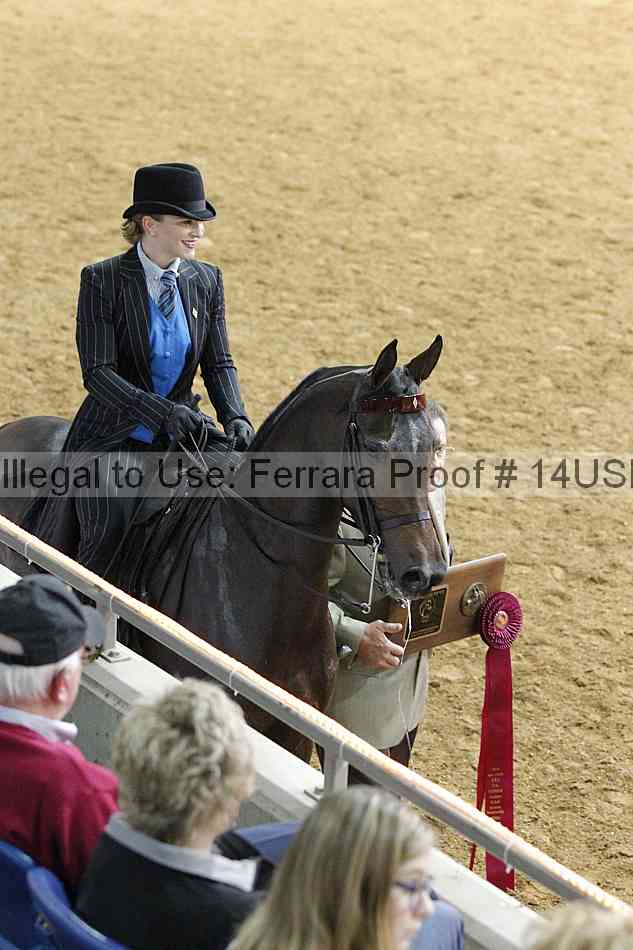 Proof 14usn_08303