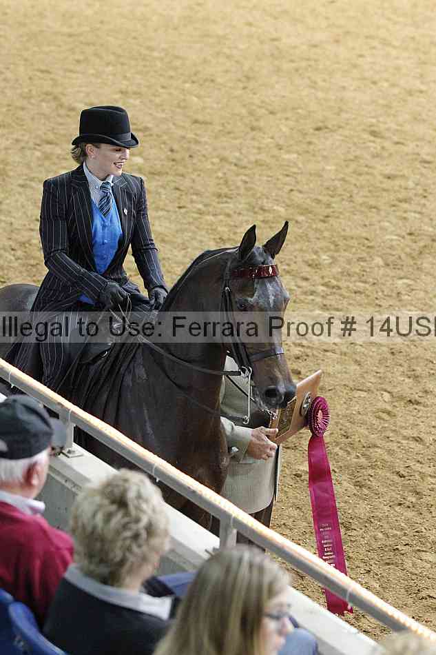 Proof 14usn_08304