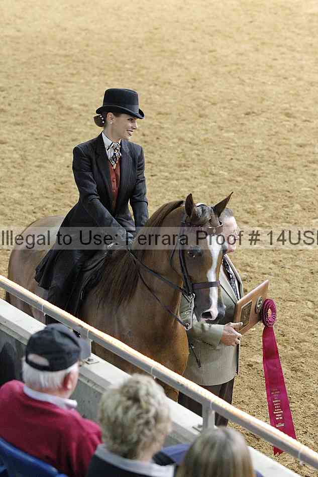 Proof 14usn_08307