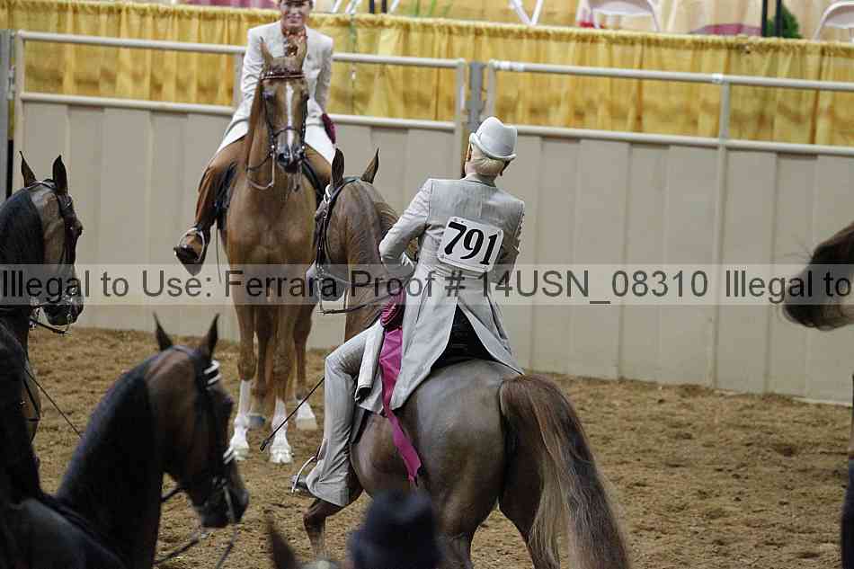 Proof 14usn_08310