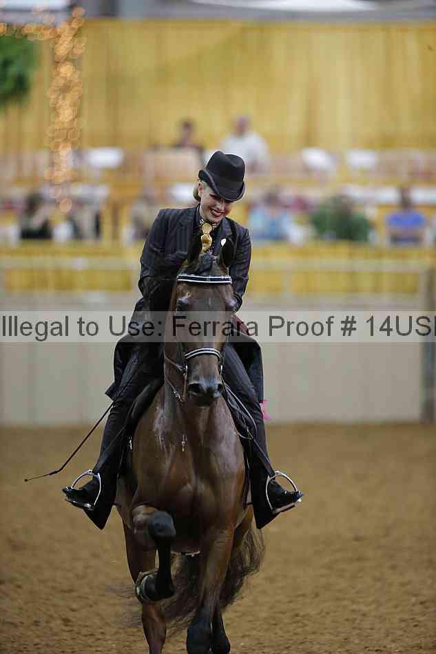 Proof 14usn_08333