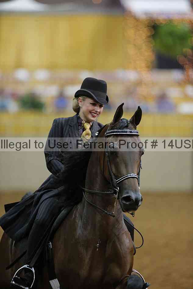 Proof 14usn_08334