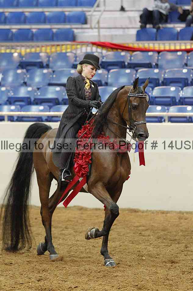Proof 14usn_08395