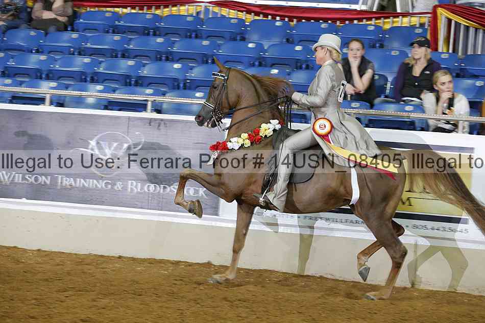 Proof 14usn_08405