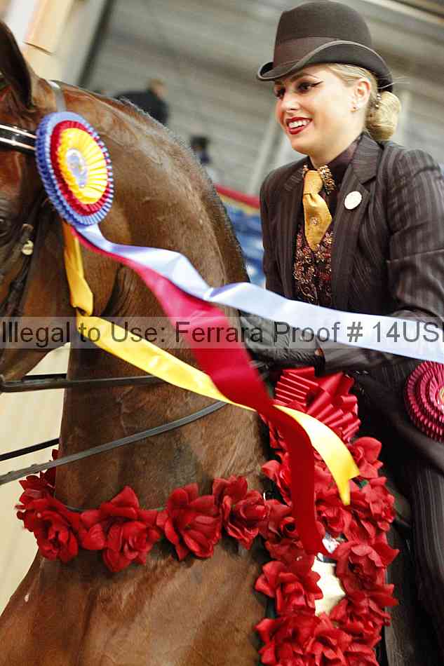 Proof 14usn_08433