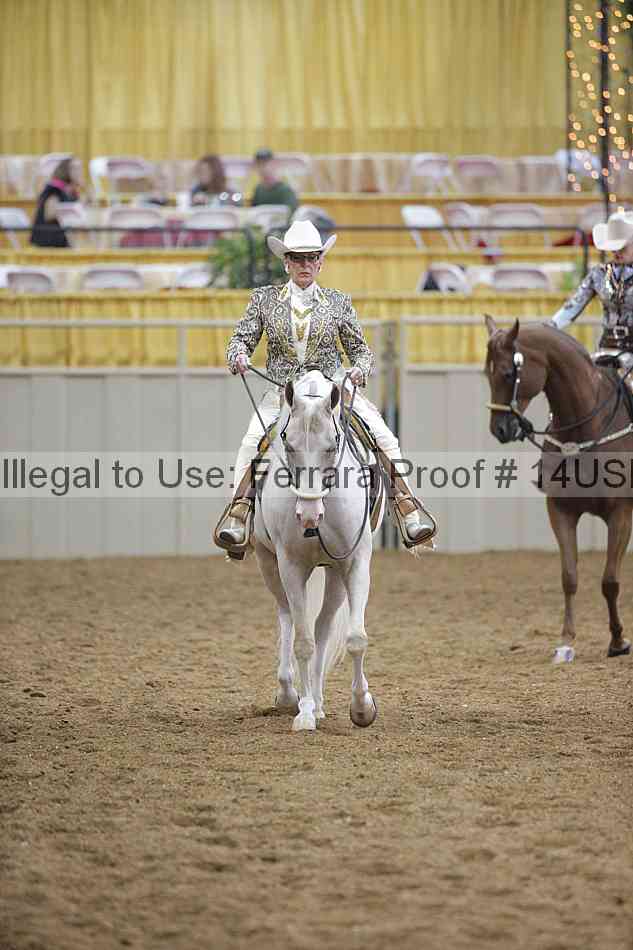 Proof 14usn_00375