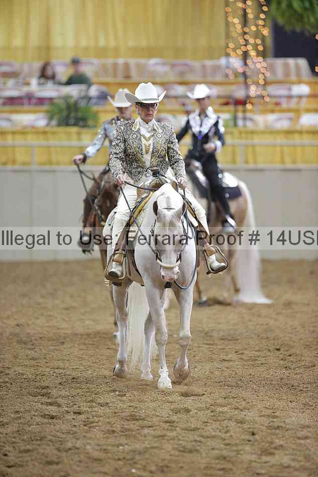 Proof 14usn_00377