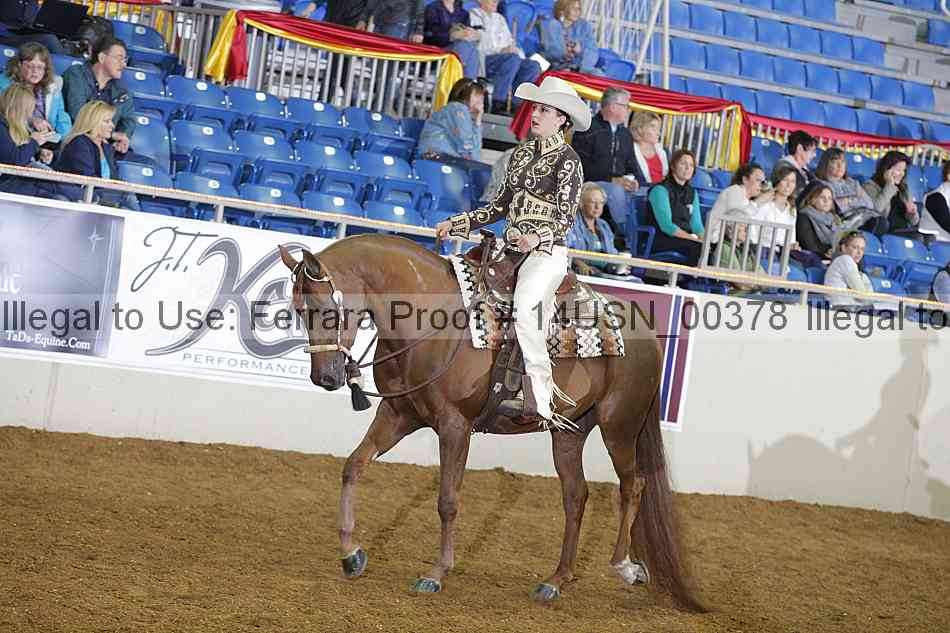 Proof 14usn_00378