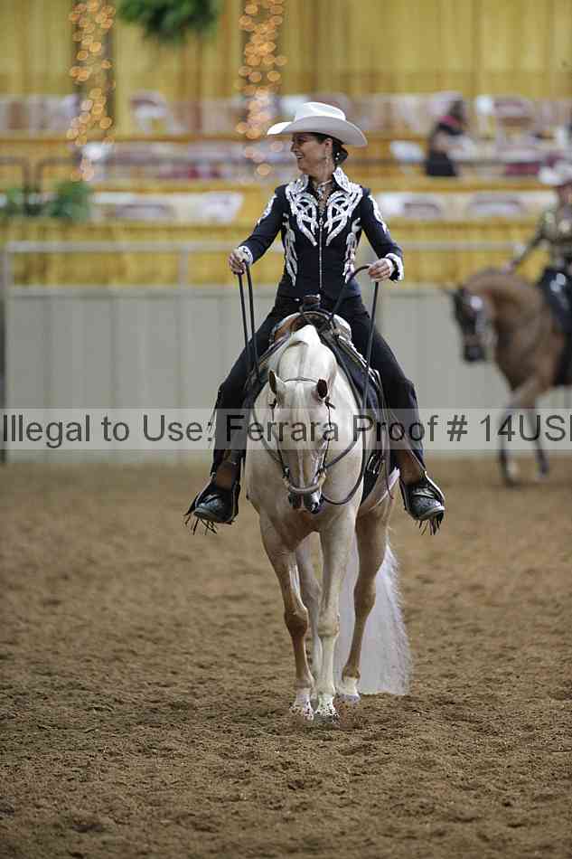 Proof 14usn_00382