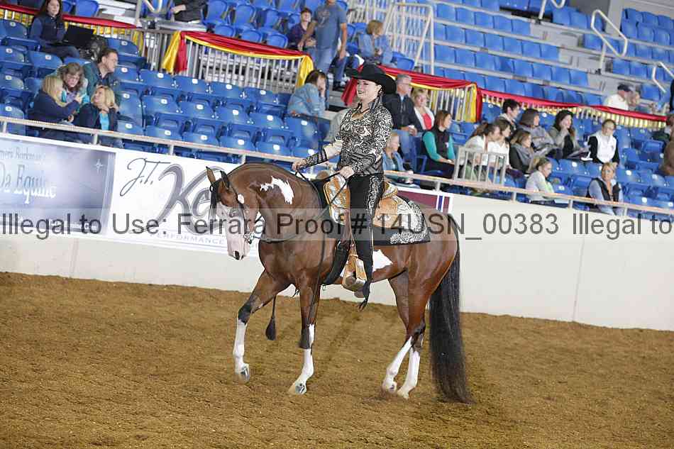 Proof 14usn_00383