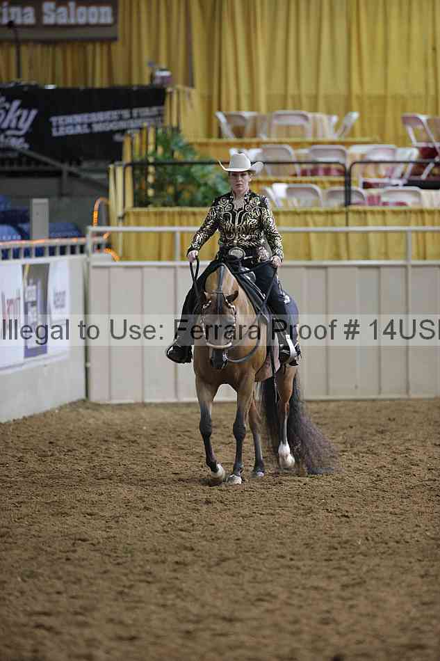 Proof 14usn_00384