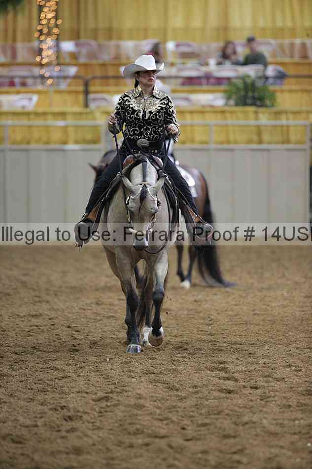 Proof 14usn_00388