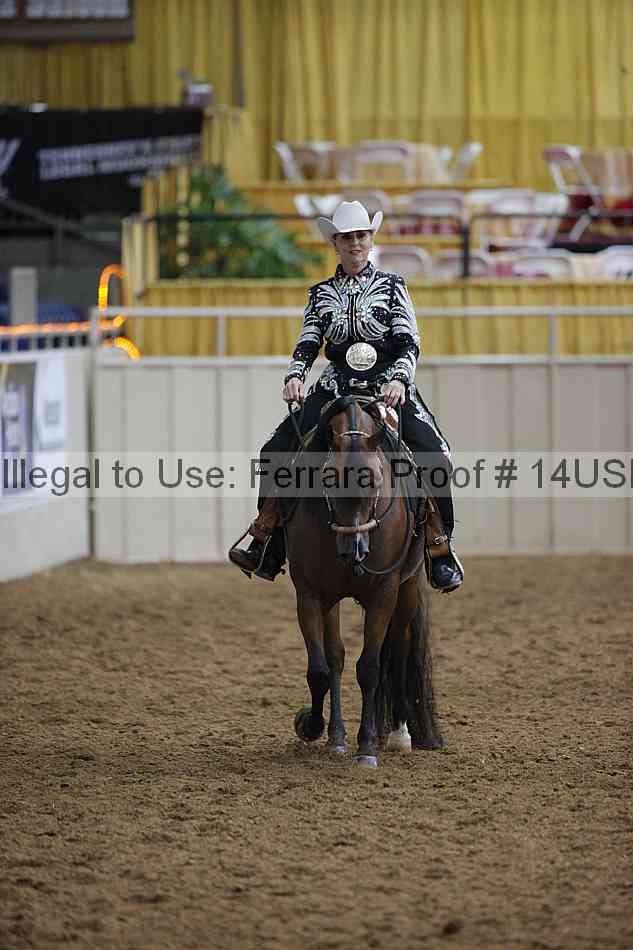 Proof 14usn_00390