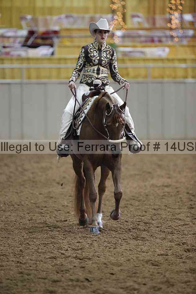 Proof 14usn_00394