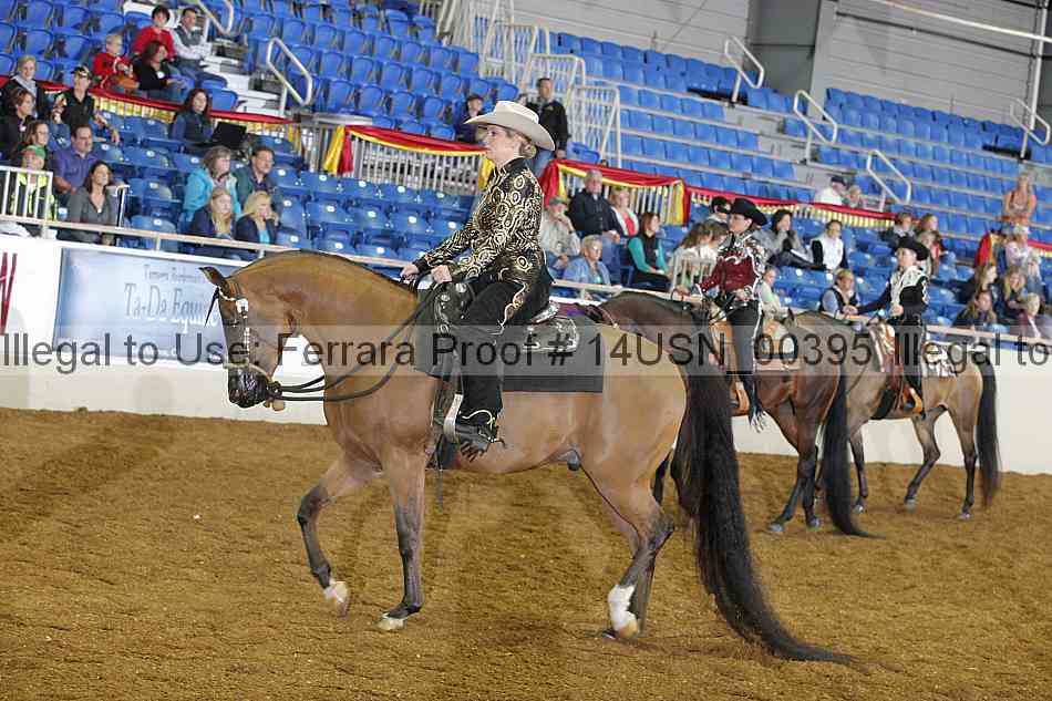 Proof 14usn_00395