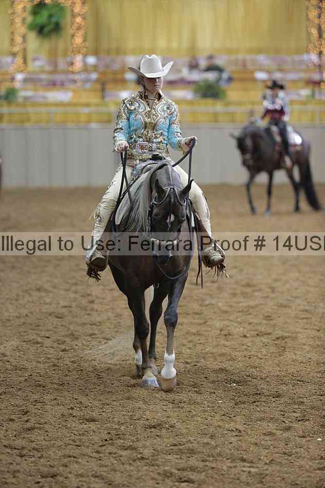 Proof 14usn_00405