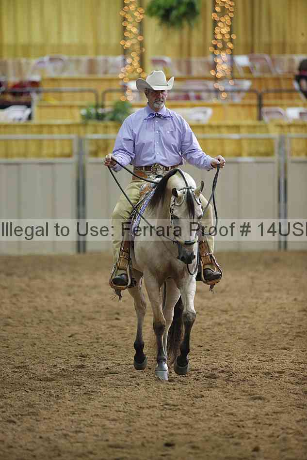 Proof 14usn_00461
