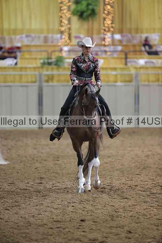 Proof 14usn_00463