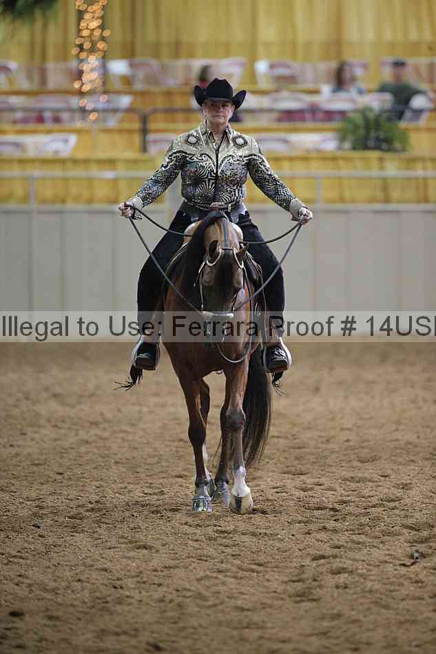 Proof 14usn_00471