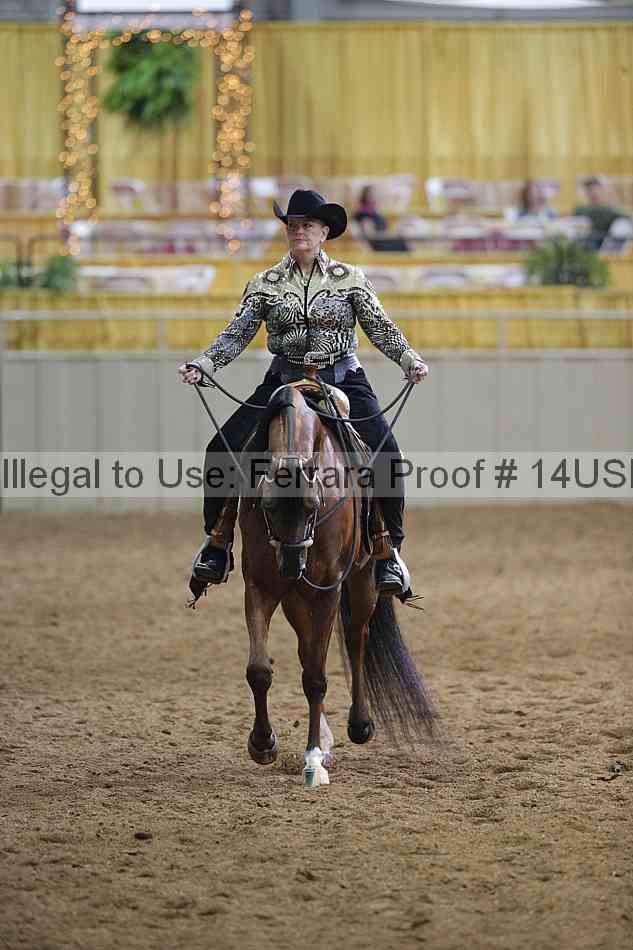 Proof 14usn_00472
