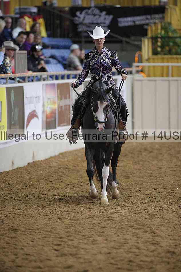 Proof 14usn_00475