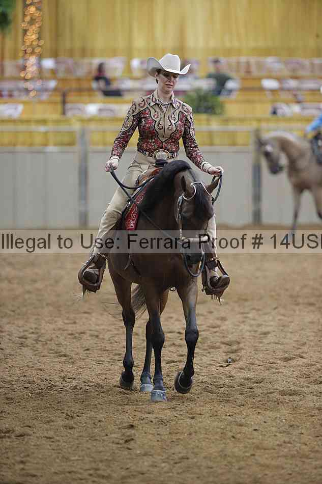 Proof 14usn_00483