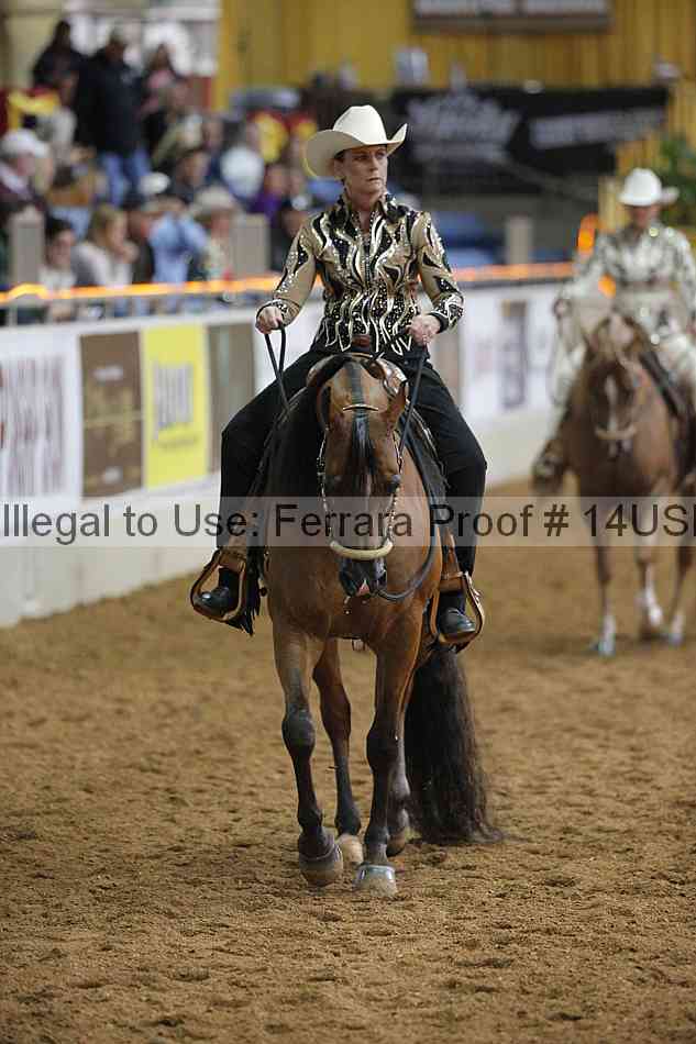 Proof 14usn_00484
