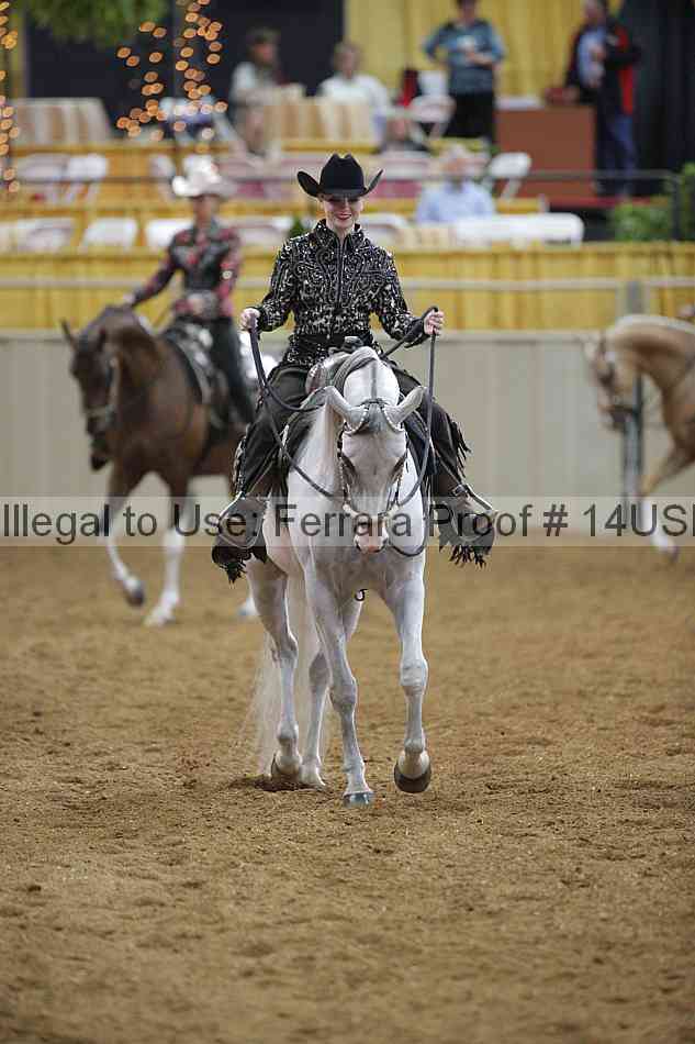 Proof 14usn_00487