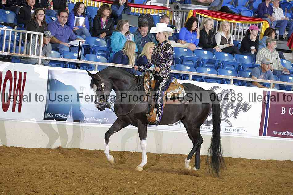 Proof 14usn_00488