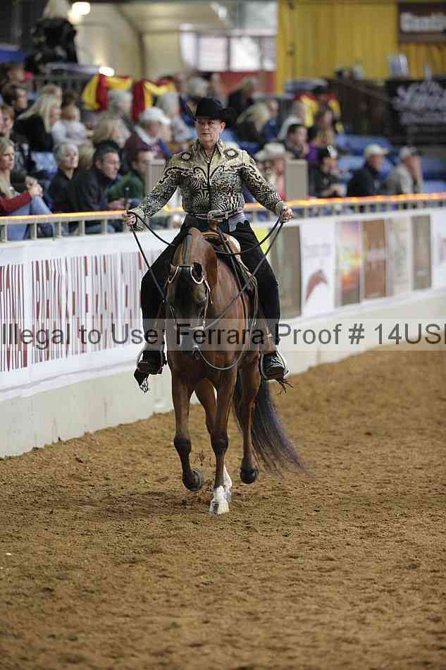 Proof 14usn_00494
