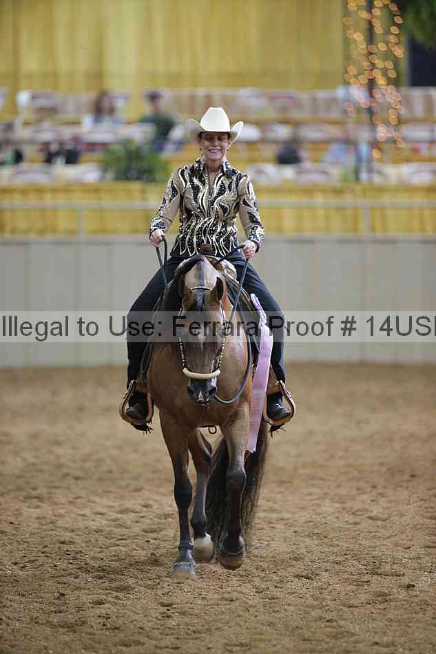 Proof 14usn_00496