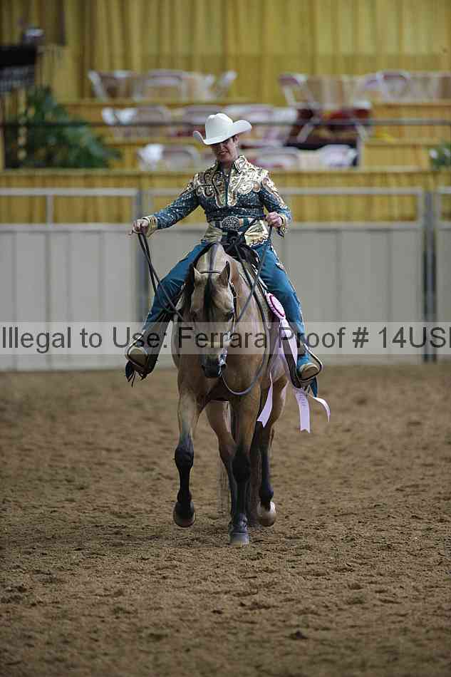 Proof 14usn_00499