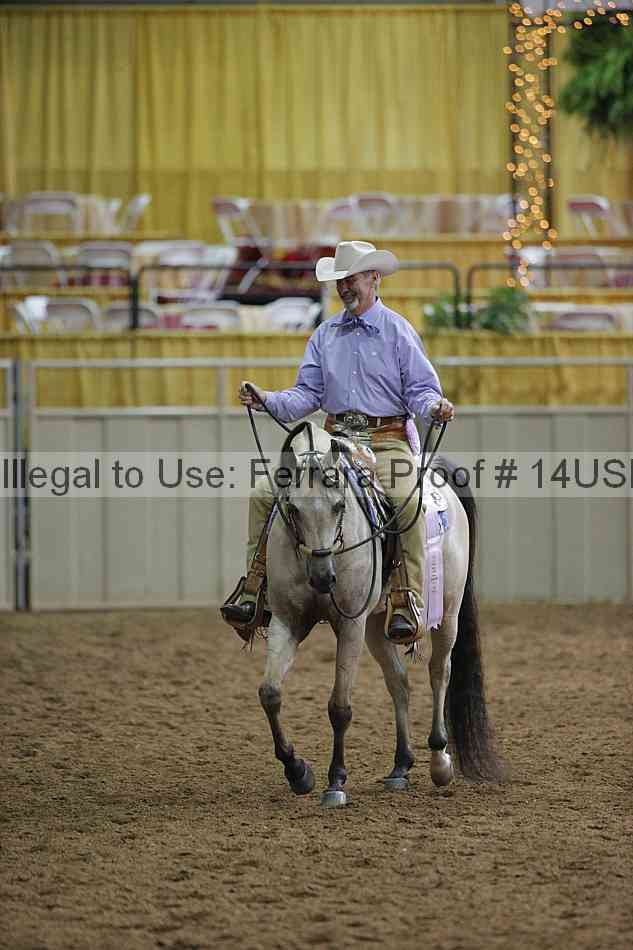 Proof 14usn_00509
