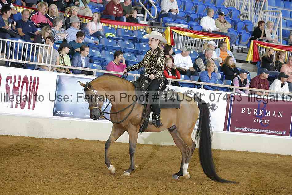 Proof 14usn_07463
