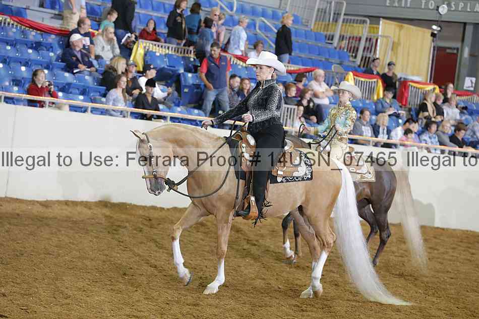 Proof 14usn_07465