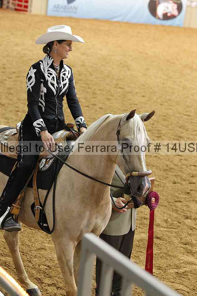 Proof 14usn_07487