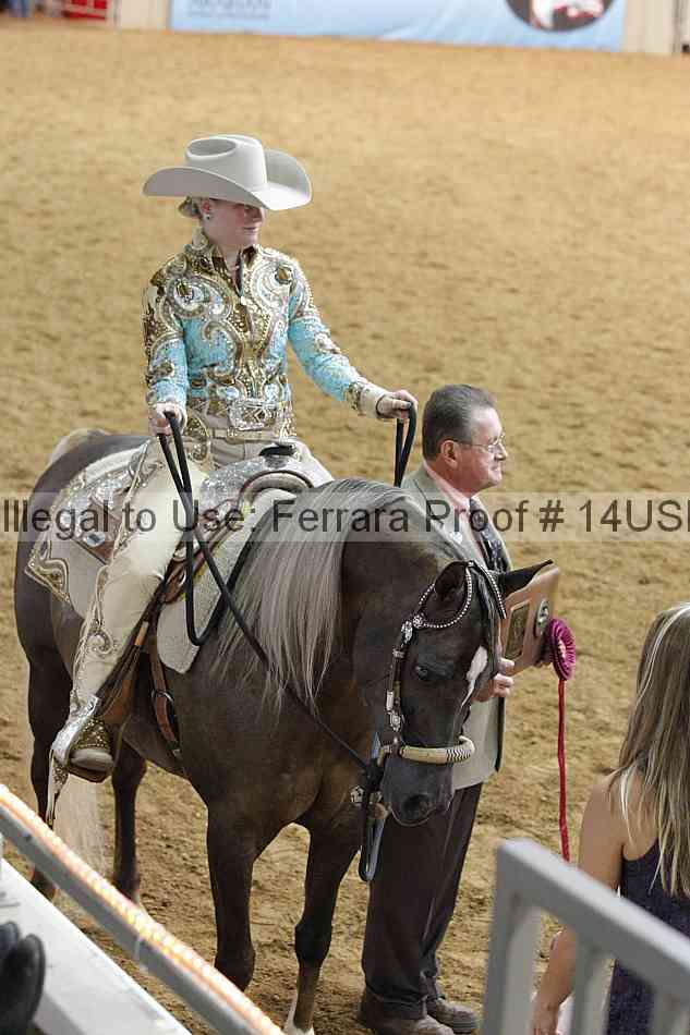 Proof 14usn_07498