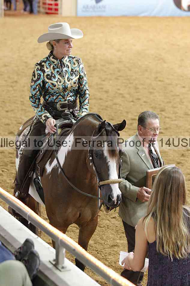 Proof 14usn_07506