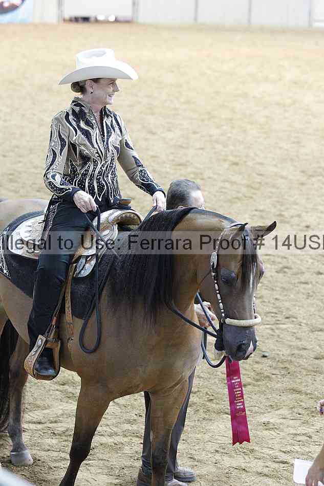 Proof 14usn_07517