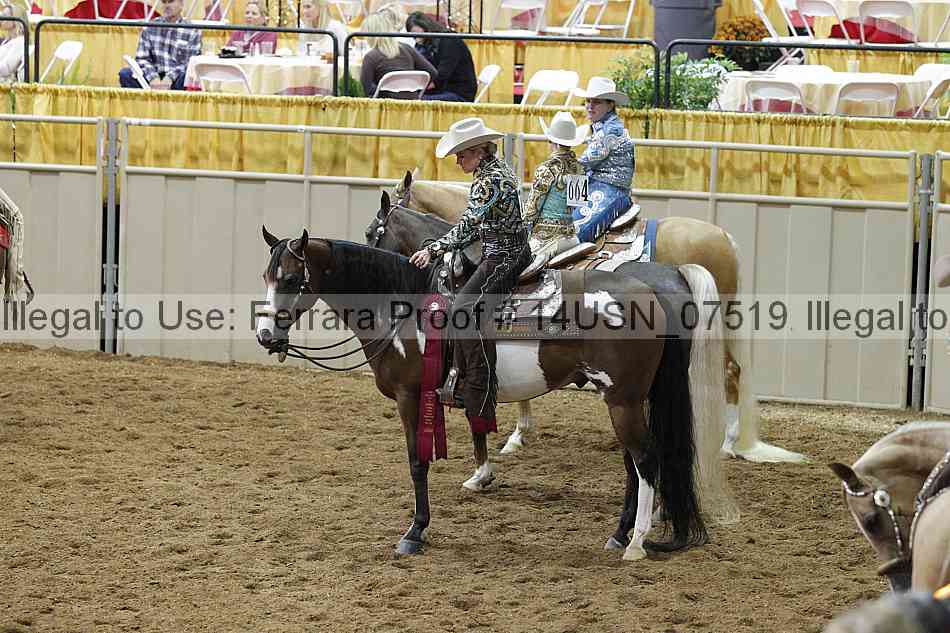 Proof 14usn_07519