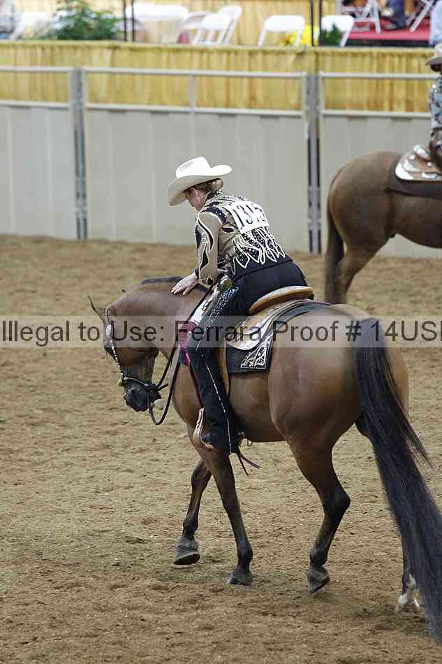 Proof 14usn_07520