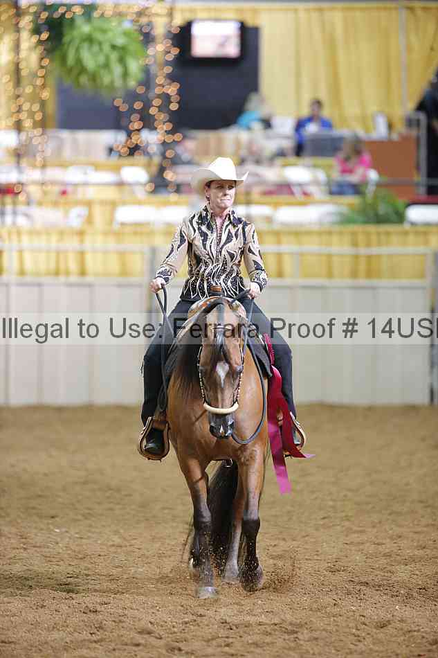 Proof 14usn_07521