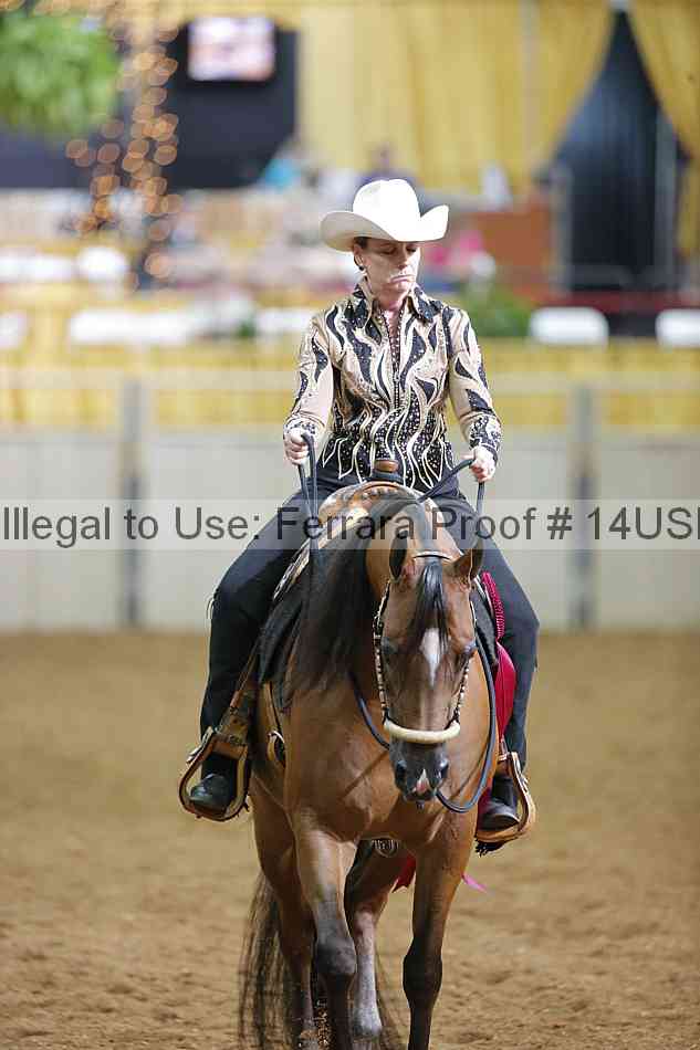 Proof 14usn_07523