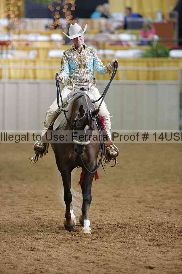Proof 14usn_07553